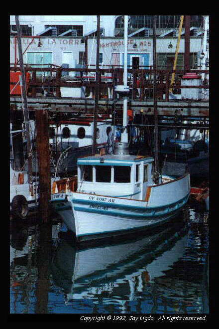 You must have a graphics capable browser to view photographs!