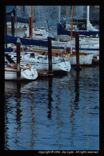 You must have a graphics capable browser to view photography on the Internet!