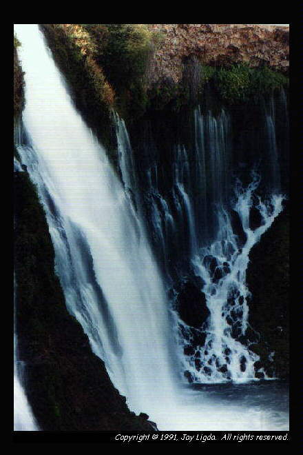 You must have a graphics capable browser to view photograpgs!