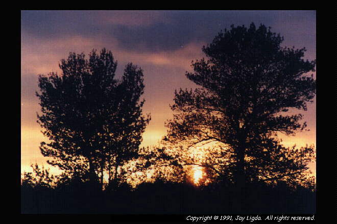 You must have a graphics capable browser to view photographs!