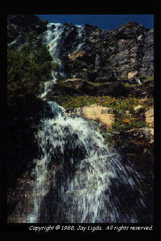 You must have a graphics capable browser to view photography on the Internet!