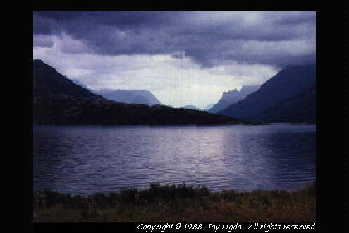 You must have a graphics capable browser to view photography on the Internet!