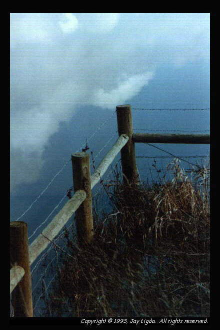 You must have a graphics capable browser to view photographs!