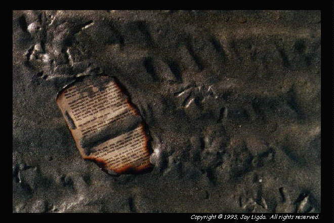 You must have a graphics capable browser to view photographs!