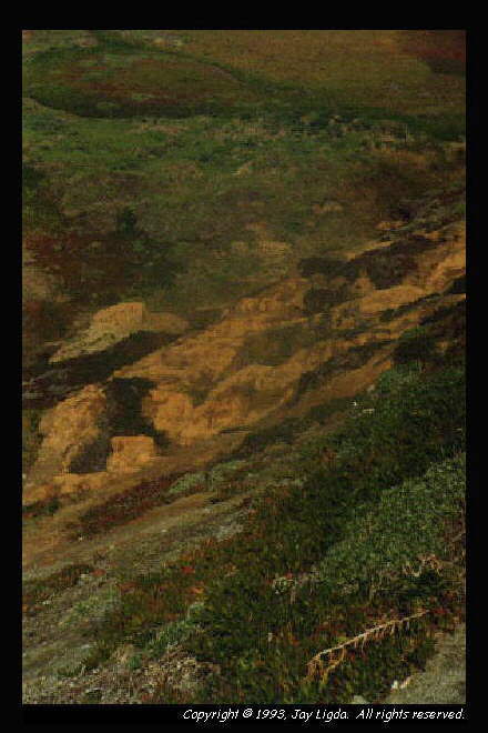 You must have a graphics capable browser to view photographs!