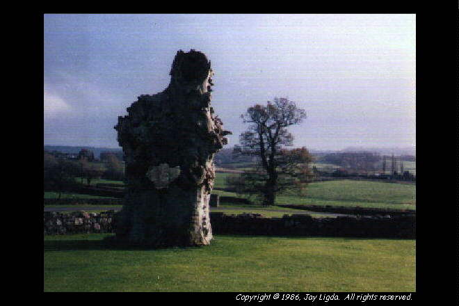 You must have a graphics capable browser to view photography on the Internet!