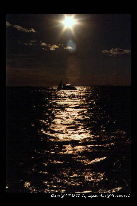 You must have a graphics capable browser to view photography on the Internet!