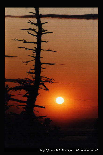 You must have a graphics capable browser to view photography on the Internet!