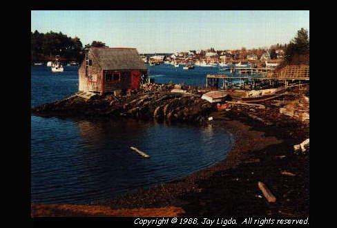 You must have a graphics capable browser to view photography on the Internet!