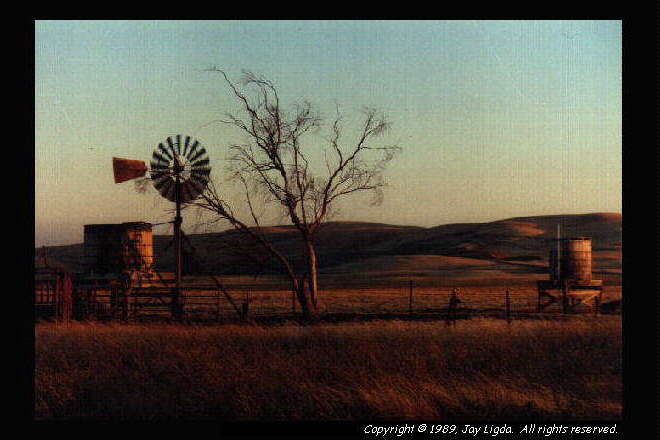 You must have a graphics capable browser to view photography on the Internet!