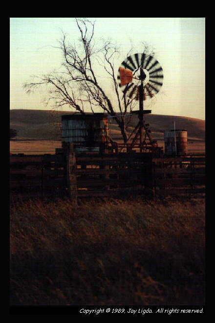 You must have a graphics capable browser to view photography!