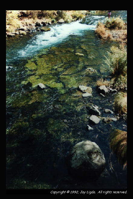 You must have a graphics capable browser to view photography!